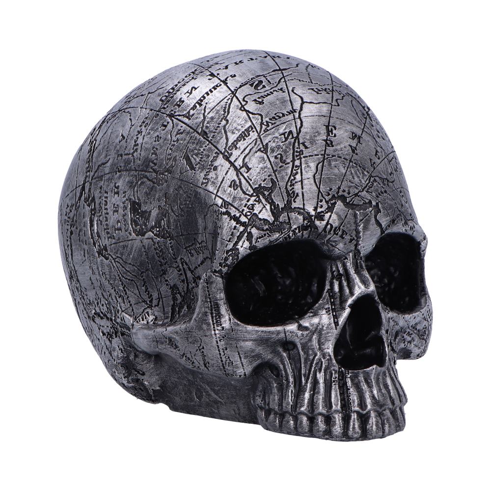 SKULL - "MIND MAP"