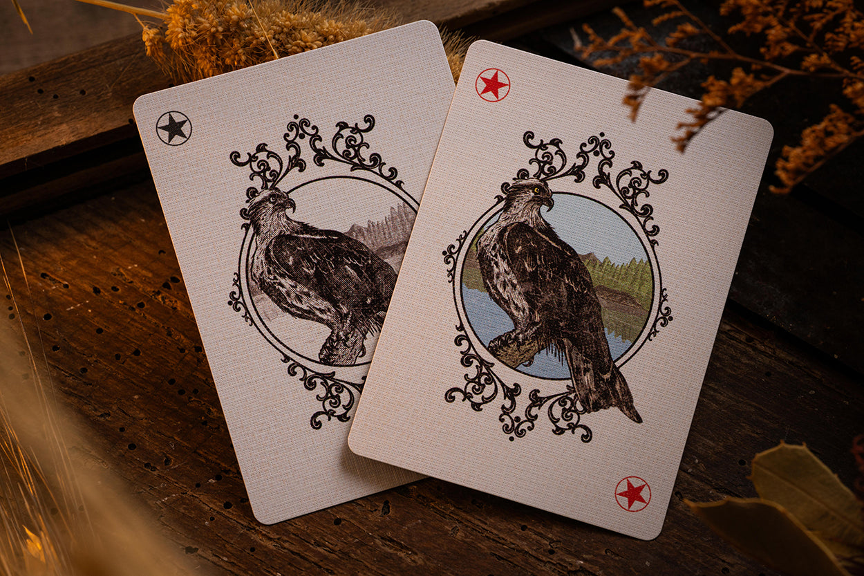 Two playing cards with bird illustrations on a wooden surface.